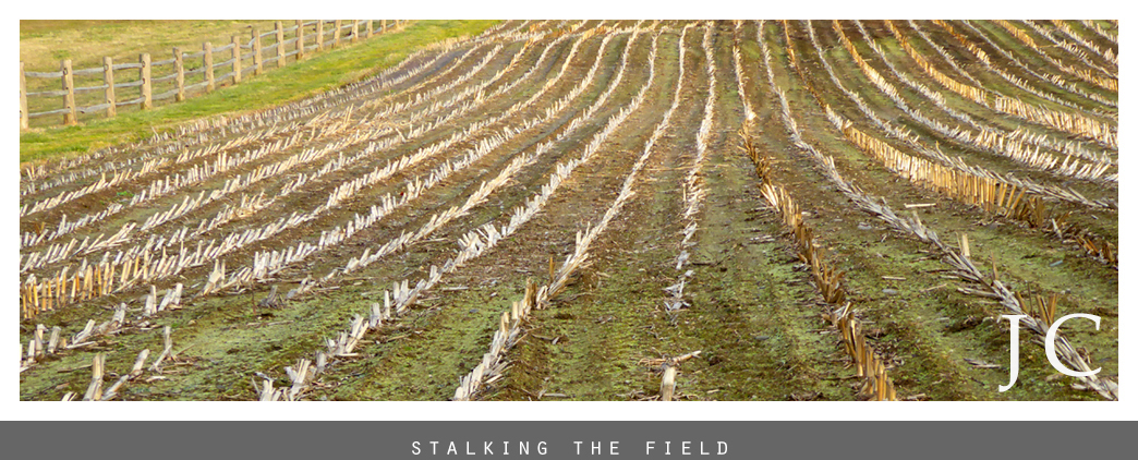 Stalking the Field